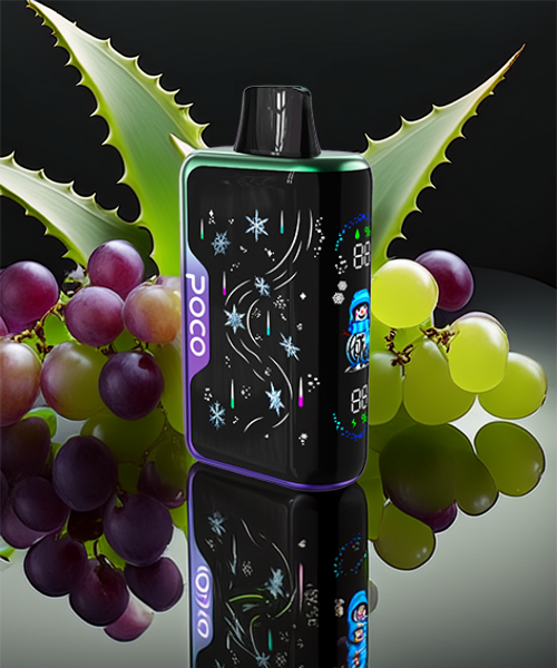 Poco Snowman 70000 – Aloe Grape 5%