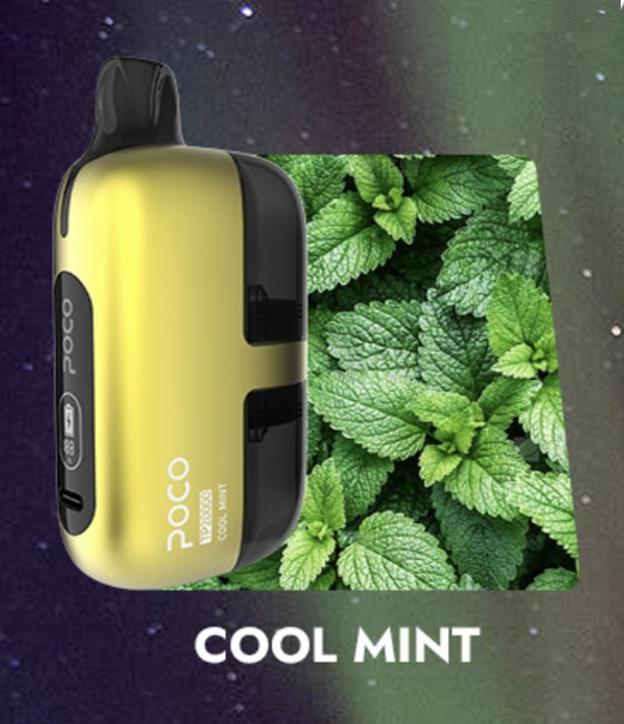 Poco TP 20000 – Cool Mint 2%